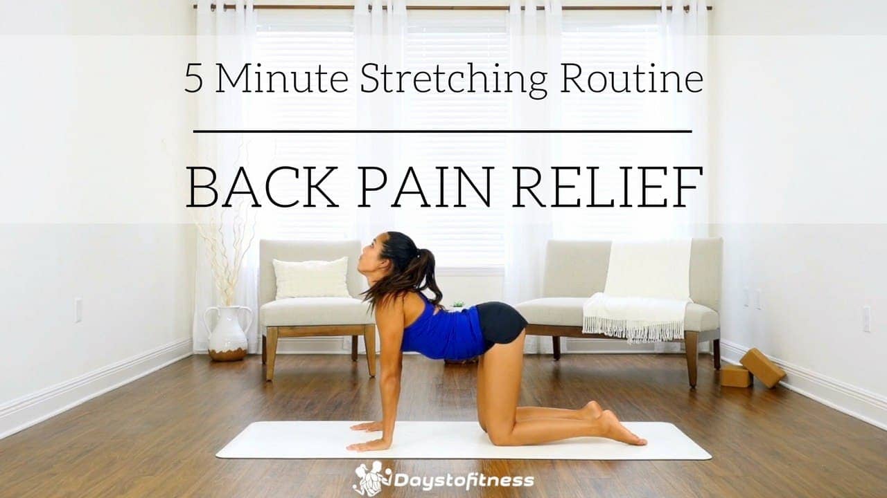 5 Minutes Stretching Routine for Back Pain Relief