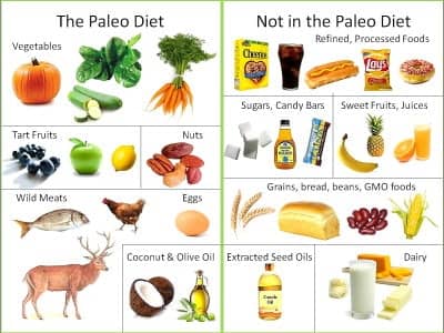 What is the Paleo Diet ?