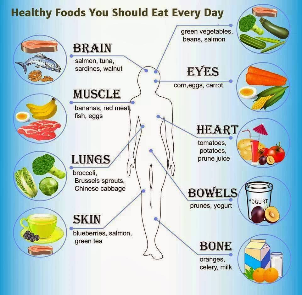 How to Eat Healthily Everyday | Days To Fitness