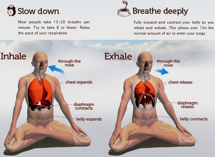 Types Of Yoga Breathing Techniques